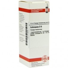 ECHINACEA HAB D 6 Dilution 20 ml