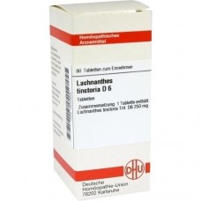 LACHNANTHES tinctoria D 6 Tabletten 80 St