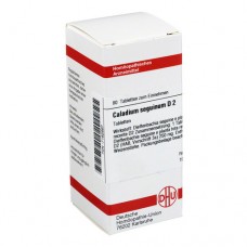 CALADIUM seguinum D 2 Tabletten 80 St