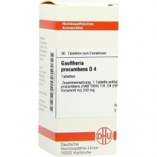 GAULTHERIA PROCUMBENS D 4 Tabletten 80 St