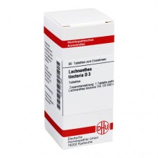 LACHNANTHES tinctoria D 3 Tabletten 80 St