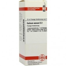GALIUM VERUM D 2 Dilution 20 ml